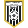 TJ Spartak Kosičky