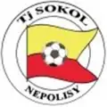 TJ Sokol Nepolisy