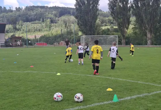 Mladší přípravka "A" si připsala na závěr jarní části sezóny dvě vítězství