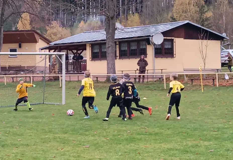 Úspěšné zakončení podzimu v podání mladší přípravky